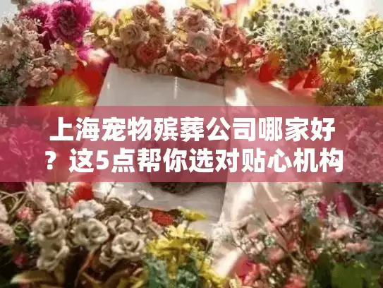 上海宠物殡葬公司哪家好？这5点帮你选对贴心机构