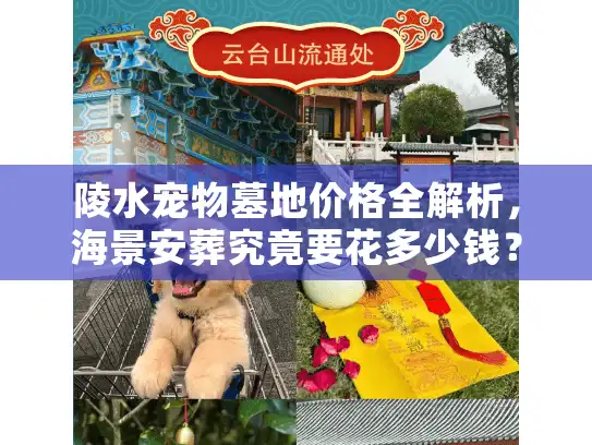 陵水宠物墓地价格全解析，海景安葬究竟要花多少钱？