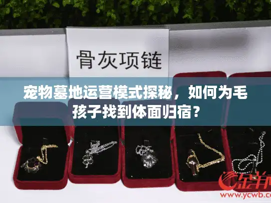 宠物墓地运营模式探秘，如何为毛孩子找到体面归宿？