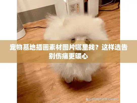 宠物墓地插画素材图片哪里找？这样选告别伤痛更暖心