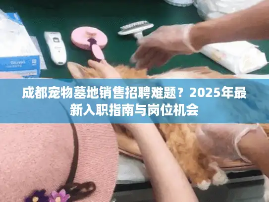 成都宠物墓地销售招聘难题？2025年最新入职指南与岗位机会