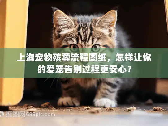 上海宠物殡葬流程图纸，怎样让你的爱宠告别过程更安心？