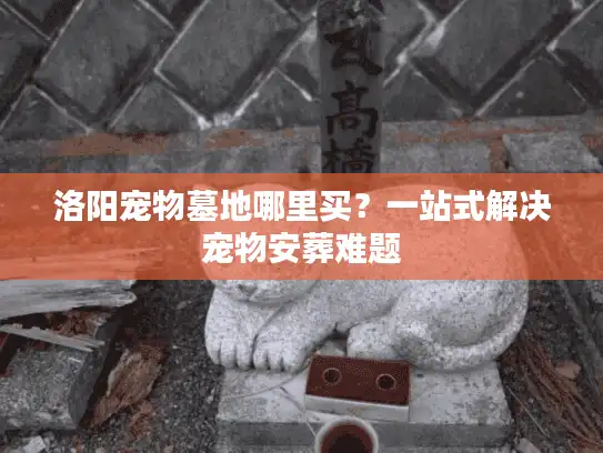 洛阳宠物墓地哪里买？一站式解决宠物安葬难题