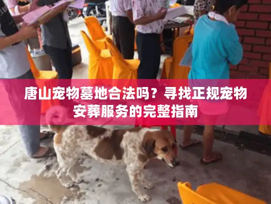 唐山宠物墓地合法吗？寻找正规宠物安葬服务的完整指南