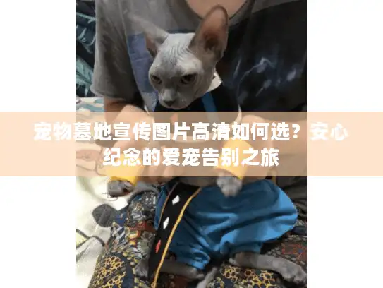 宠物墓地宣传图片高清如何选？安心纪念的爱宠告别之旅