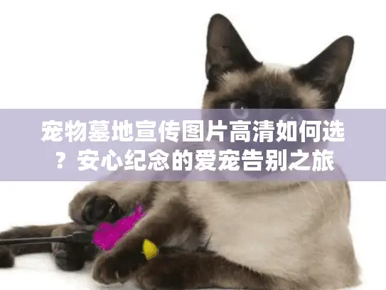 宠物墓地宣传图片高清如何选？安心纪念的爱宠告别之旅