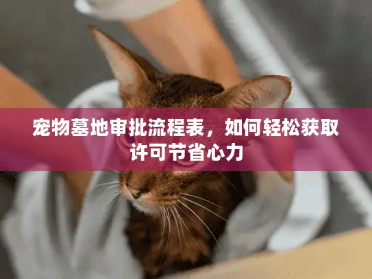 宠物墓地审批流程表，如何轻松获取许可节省心力