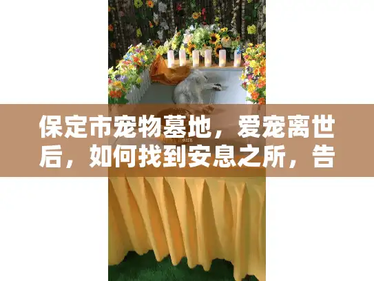 保定市宠物墓地，爱宠离世后，如何找到安息之所，告别心痛时刻？