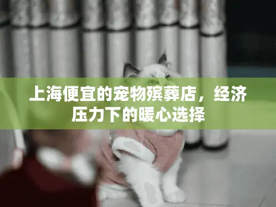 上海便宜的宠物殡葬店，经济压力下的暖心选择