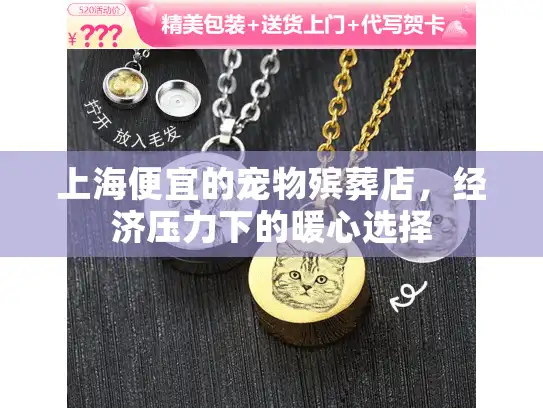上海便宜的宠物殡葬店，经济压力下的暖心选择