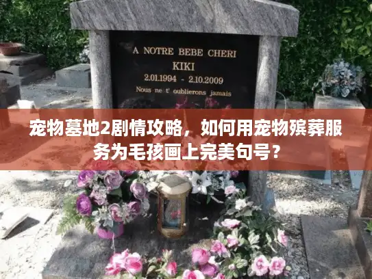 宠物墓地2剧情攻略，如何用宠物殡葬服务为毛孩画上完美句号？