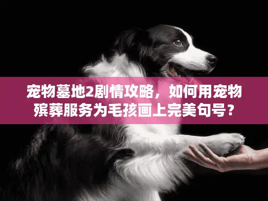 宠物墓地2剧情攻略，如何用宠物殡葬服务为毛孩画上完美句号？