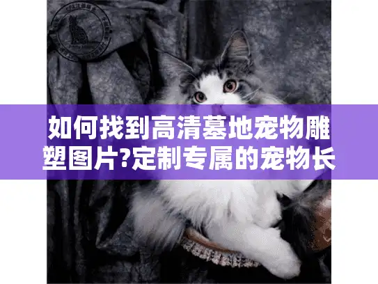 如何找到高清墓地宠物雕塑图片?定制专属的宠物长眠之所