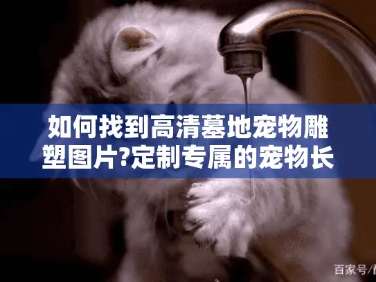 如何找到高清墓地宠物雕塑图片?定制专属的宠物长眠之所