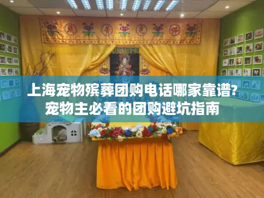 上海宠物殡葬团购电话哪家靠谱?宠物主必看的团购避坑指南