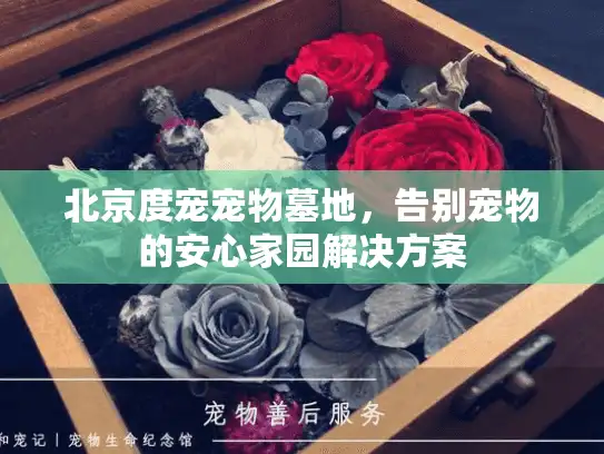 北京度宠宠物墓地，告别宠物的安心家园解决方案