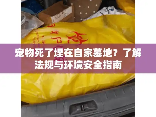 宠物死了埋在自家墓地？了解法规与环境安全指南