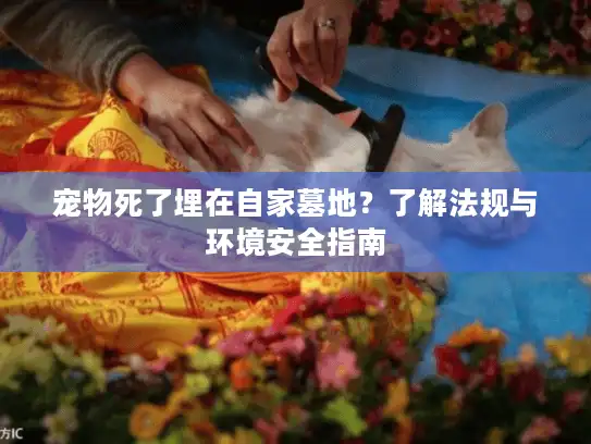 宠物死了埋在自家墓地？了解法规与环境安全指南