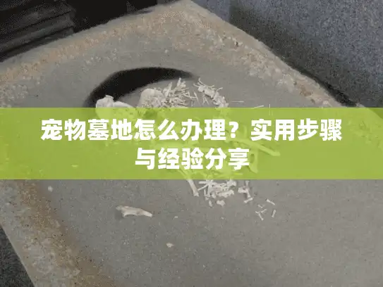 宠物墓地怎么办理？实用步骤与经验分享