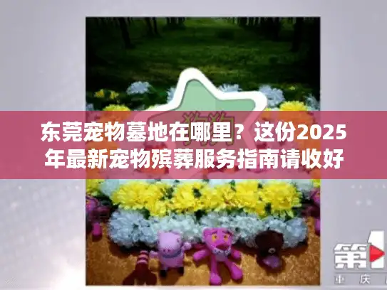 东莞宠物墓地在哪里？这份2025年最新宠物殡葬服务指南请收好