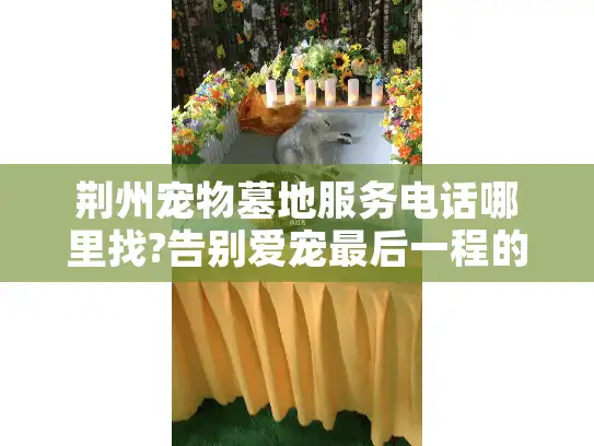 荆州宠物墓地服务电话哪里找?告别爱宠最后一程的完整指南