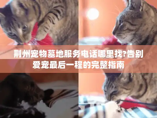 荆州宠物墓地服务电话哪里找?告别爱宠最后一程的完整指南