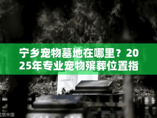 宁乡宠物墓地在哪里？2025年专业宠物殡葬位置指南