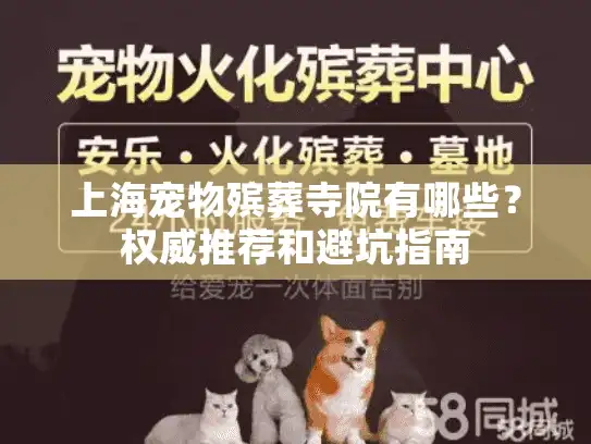 上海宠物殡葬寺院有哪些？权威推荐和避坑指南