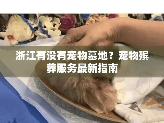 浙江有没有宠物墓地？宠物殡葬服务最新指南