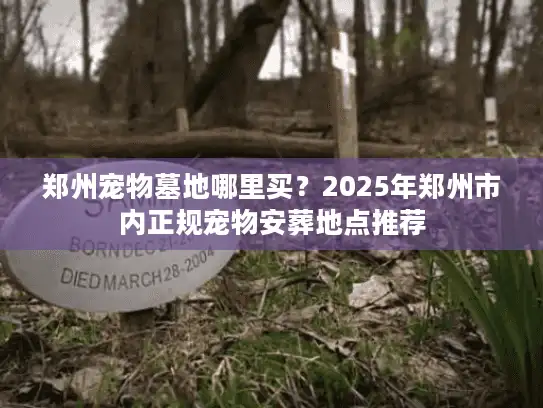 郑州宠物墓地哪里买？2025年郑州市内正规宠物安葬地点推荐