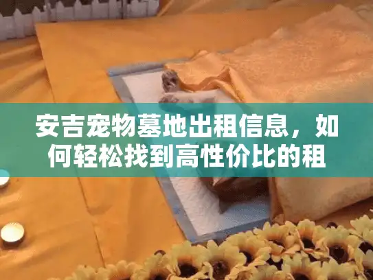 安吉宠物墓地出租信息，如何轻松找到高性价比的租用服务？