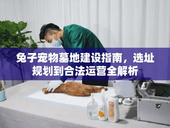 兔子宠物墓地建设指南，选址规划到合法运营全解析