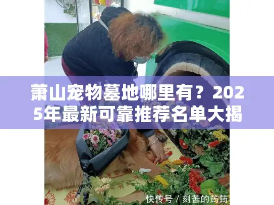 萧山宠物墓地哪里有？2025年最新可靠推荐名单大揭秘