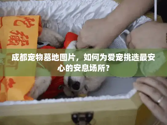 成都宠物墓地图片，如何为爱宠挑选最安心的安息场所？
