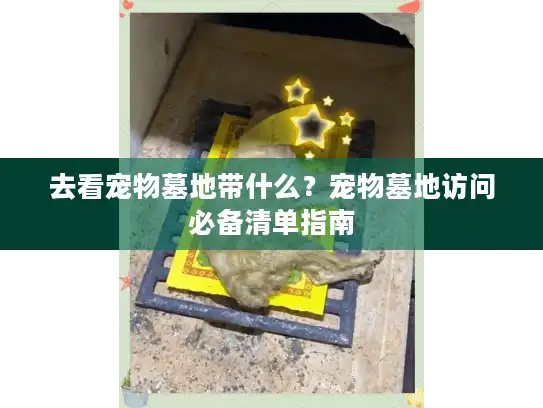 去看宠物墓地带什么？宠物墓地访问必备清单指南