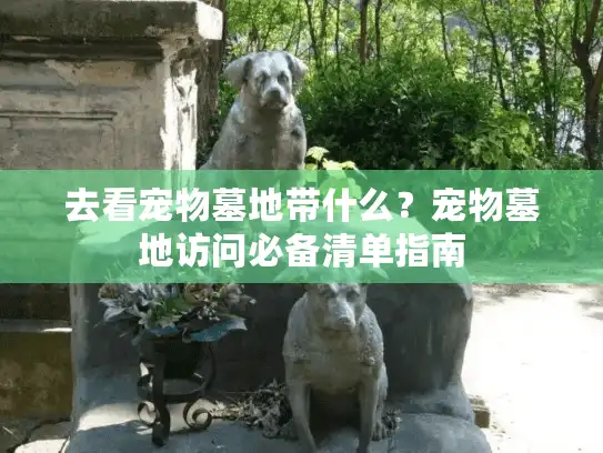 去看宠物墓地带什么？宠物墓地访问必备清单指南