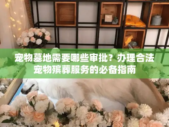 宠物墓地需要哪些审批？办理合法宠物殡葬服务的必备指南