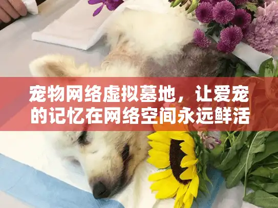 宠物网络虚拟墓地，让爱宠的记忆在网络空间永远鲜活