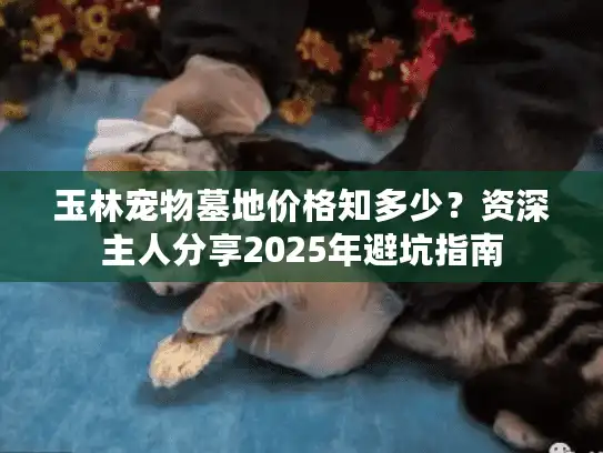 玉林宠物墓地价格知多少？资深主人分享2025年避坑指南