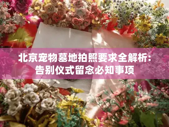 北京宠物墓地拍照要求全解析:告别仪式留念必知事项