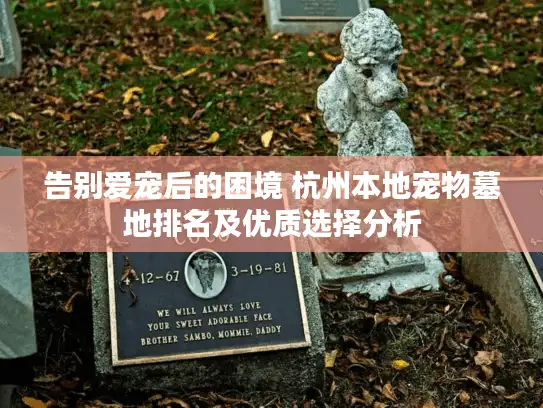 告别爱宠后的困境 杭州本地宠物墓地排名及优质选择分析