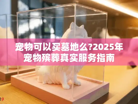 宠物可以买墓地么?2025年宠物殡葬真实服务指南