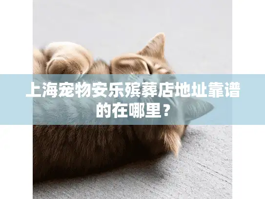 上海宠物安乐殡葬店地址靠谱的在哪里？