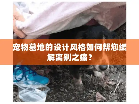 宠物墓地的设计风格如何帮您缓解离别之痛？