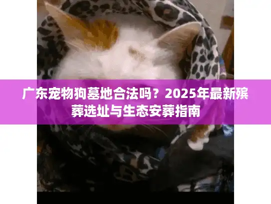 广东宠物狗墓地合法吗？2025年最新殡葬选址与生态安葬指南