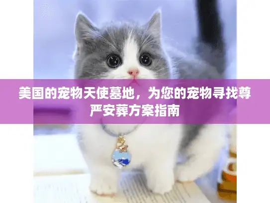 美国的宠物天使墓地，为您的宠物寻找尊严安葬方案指南