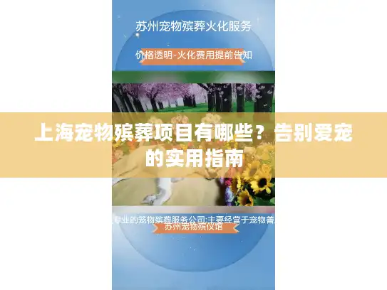 上海宠物殡葬项目有哪些？告别爱宠的实用指南