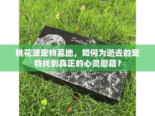 桃花源宠物墓地，如何为逝去的宠物找到真正的心灵慰藉？