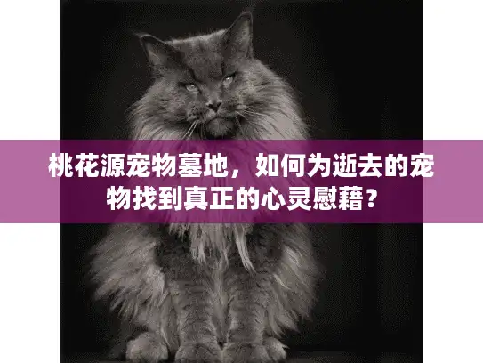 桃花源宠物墓地，如何为逝去的宠物找到真正的心灵慰藉？