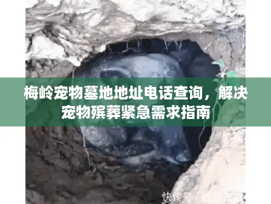 梅岭宠物墓地地址电话查询，解决宠物殡葬紧急需求指南